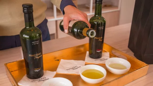 "Origen Neuquén”: la muestra a la que emprendedores podrán sumarse a la tienda oficial provincial de Mercado Libre