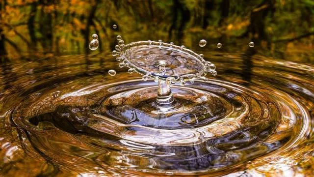 Una empresa mendocina evitó la pérdida de 45 millones m3 de agua