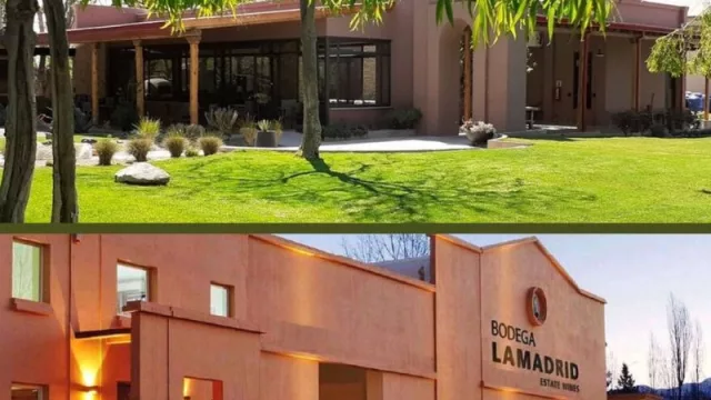 Mendoza será escenario de Dionisias, la primera wine fair de mujeres de Argentina