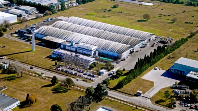 Cunnington: la marca argentina con presencia nacional (y una producción de más de 30.000 botellas por hora)