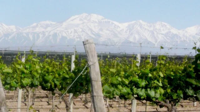 Luján, reconocido por sus acciones de mitigación y adaptación climática