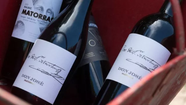 iMatorras, la bodega que rinde un homenaje a la libertad y al amor por la tierra