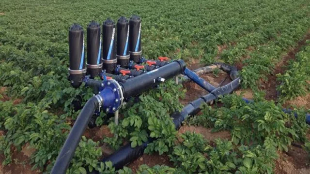 La venta de insumos de vanguardia para riego tecnificado aumenta 30% por año