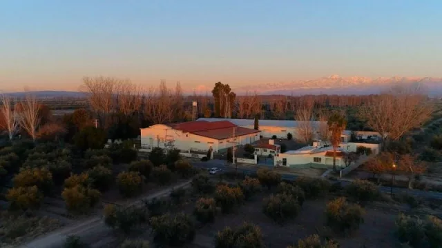 Conocé la bodega que eligen los mendocinos (accesible y familiar)