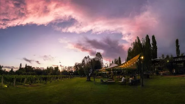 Lanzamiento de Blanche: la nueva cerveza premium de Stella Artois se presentó en La Finquita