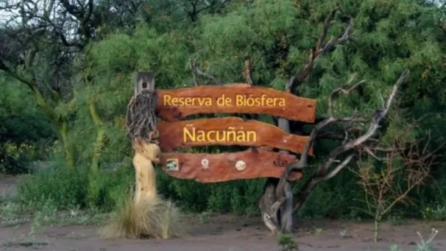 Explotan la Reserva de Ñancuñan para producir harina de algarrobo (alrededor de 500 familias se benefician con la producción)