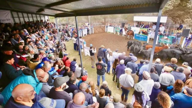 Llega una nueva edición de la Fiesta Nacional de la Ganadería con movida política (y el costillar más famoso del país)