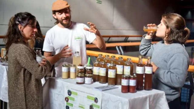 Vuelve Mendoza Sostenible y Sustentable (para financiar emprendimientos amigables con el medio ambiente)