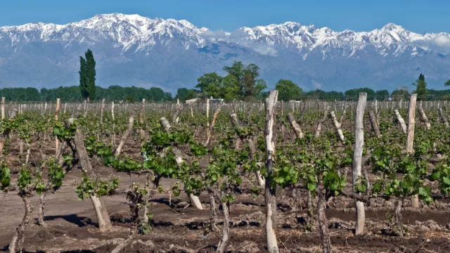 Mendoza asiste con $ 84 millones a productores (afectados por heladas y granizo) en el Valle de Uco