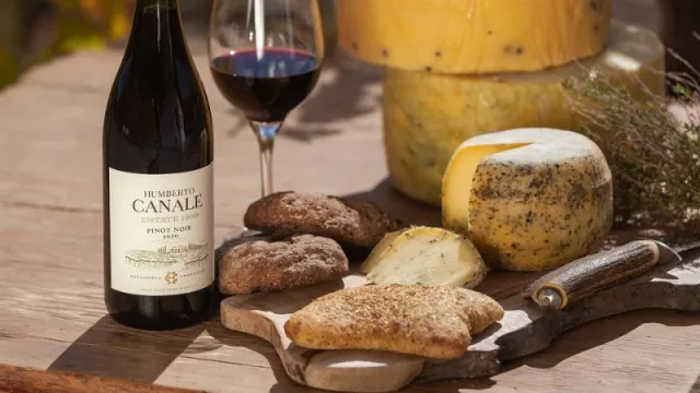 Estate 1909: la nueva era de Humberto Canale (la reconocida empresa vitivinícola presenta su renovada imagen y filosofía de trabajo)