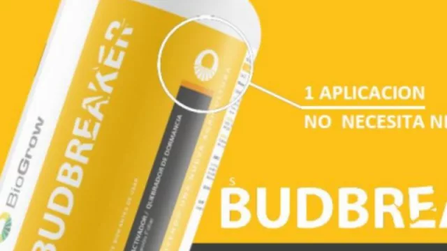 Budbreaker, un producto innovador del agro que se lanza en exclusiva en Mendoza