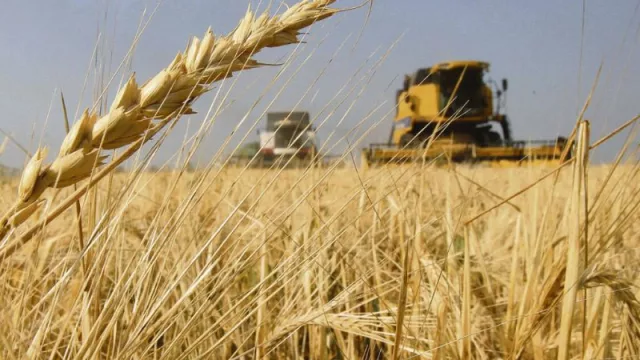 Nuevo gigante de los agronegocios: Bunge se fusiona con Viterra