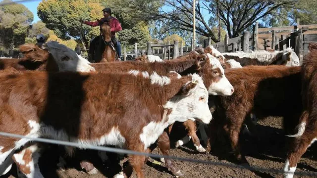 Tercer Foro del Plan de Mejora Competitivo Ganadero de Mendoza