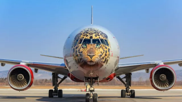 Aircraft wrapping (envoltura de aeronaves): la mega tendencia de practicar ploteo completo en aviones de aerolíneas