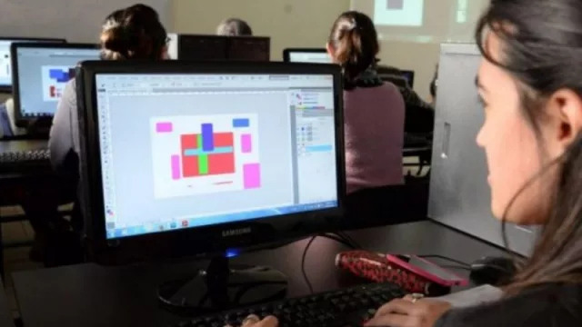 ProgramON: los jóvenes de Mendoza pueden acceder al curso gratis de Chicos.net y Coca -Cola