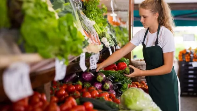 ¿Cuándo y en qué puede trabajar un menor de edad?