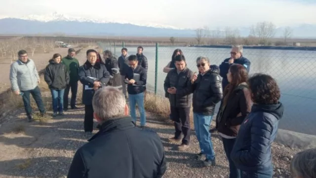 Los frutos secos de Mendoza llaman la atención de los empresarios chinos (y esperan establecer nuevos acuerdos con ellos)