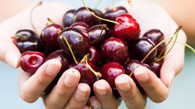 Webinar gratuito para productores de cereza (con el objetivo de evitar la deshidratación pos cosecha)