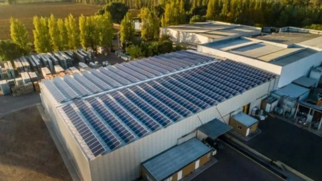 Vino 2.0: la transformación de la industria vitivinícola (qué iniciativas desarrollan con foco en la sustentabilidad de los procesos)