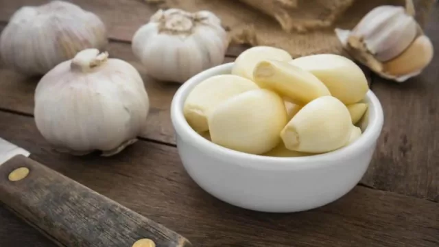 El ajo mendocino se convierte en materia de estudio (llega la capacitación orientada a la producción, industrialización y comercialización del producto)