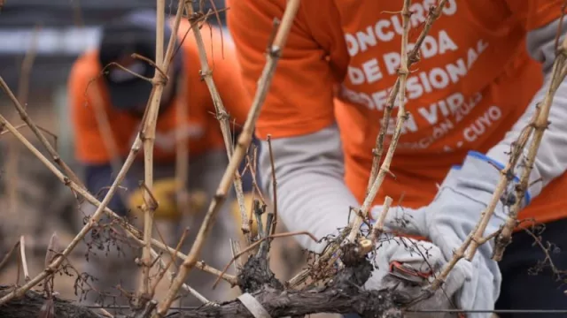 11° Concurso Sudamericano de poda profesional en Vid