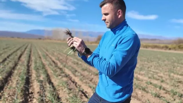 Inteligencia artificial y tecnificación total del agro (quién es el empresario detrás de la modernización de la región)