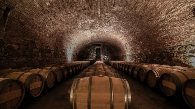 Bodegas de Argentina celebró la eliminación de las retenciones al vino (y explicó cómo impacta en el sector)