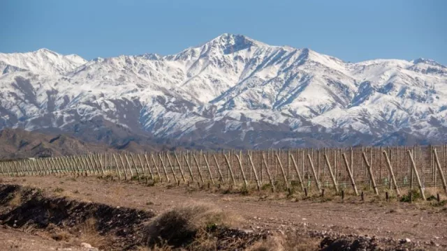 Mendoza activa ante el cambio climático (la red global internacional Iclei acciona en la provincia)