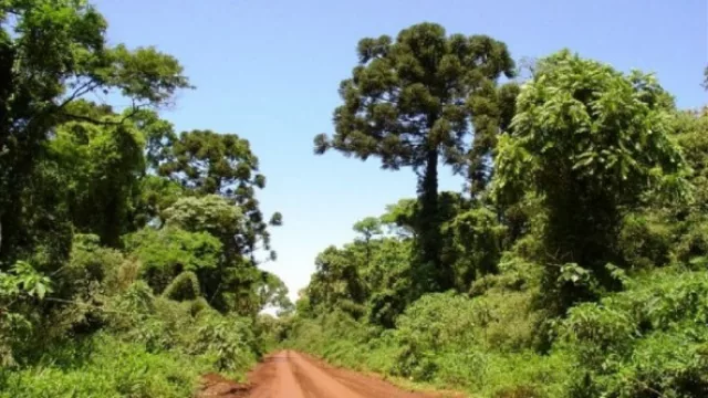 Ordenamiento territorial de bosques nativos (actualización del recurso)
