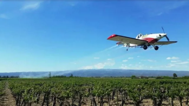 Más de 20.000 hectáreas fueron cubiertas con el tratamiento aéreo contra la polilla de la vid