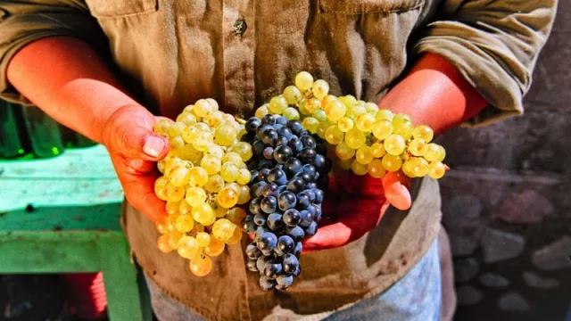 La Rioja será sede de las III Jornadas Nacionales de Turismo del Vino