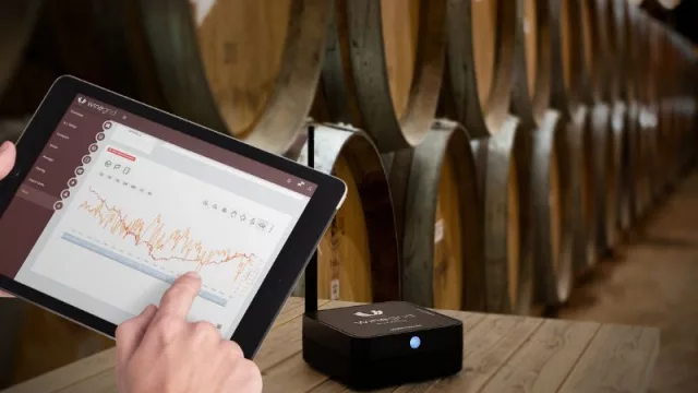 Un paso adelante: las bodegas cada vez más eficientes gracias a la Inteligencia Artificial