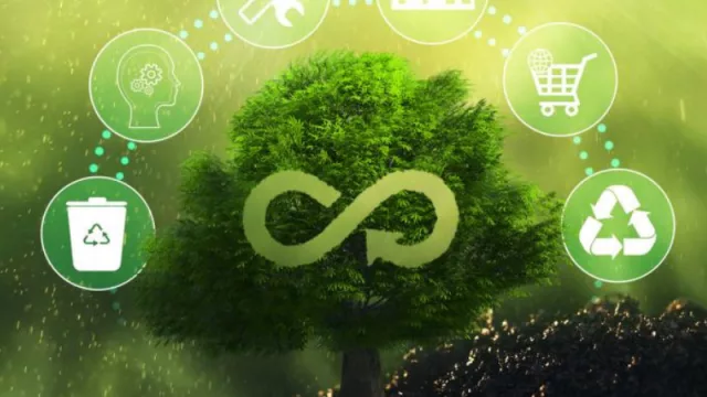 Sostenibilidad en procesos de empaque: un camino hacia la economía circular