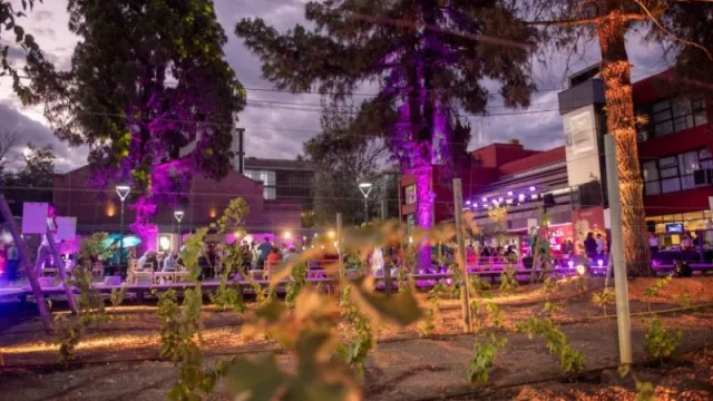 La Plaza del Vino, el nuevo kilómetro cero del enoturismo