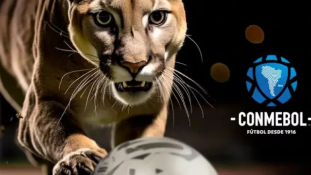 Puma Cumbre: un golazo en el marketing deportivo (la nueva pelota oficial de la Copa América 2024)