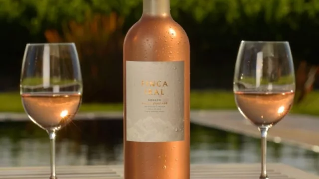 Tres amigos y un sueño hecho realidad: Finca Iral presenta sus vinos orgánicos, de gran tipicidad varietal y representativos del terroir