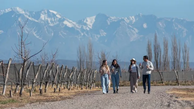 Alpamanta, la bodega mendocina premiada como Mejor Iniciativa Orgánica del año