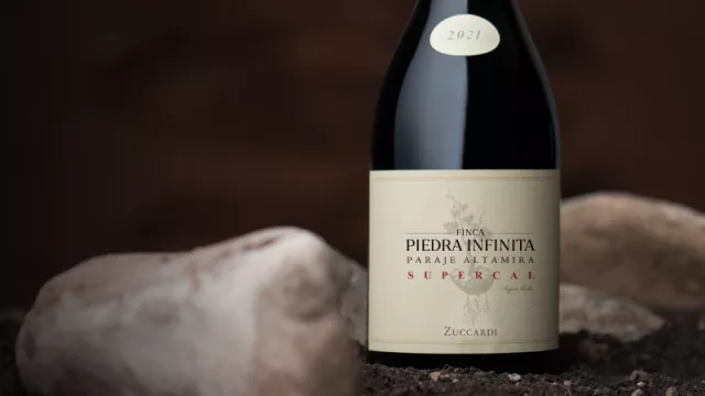 Guía Descorchados: por primera vez, un vino sudamericano logra 100 puntos