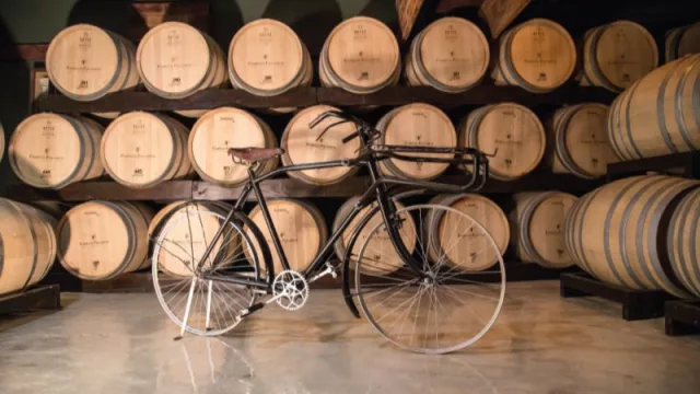 Mendoza cuenta con la primera bodega argentina en emitir bonos verdes