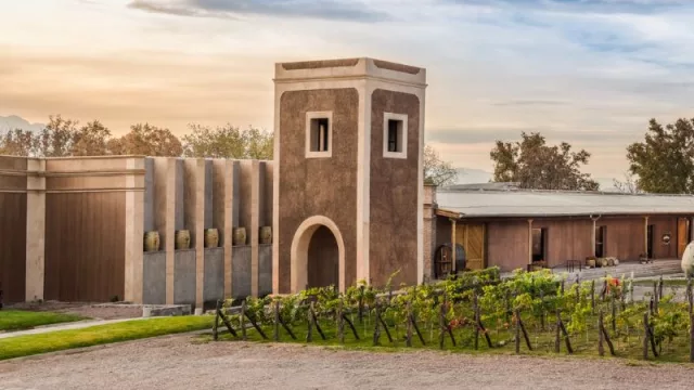 Familia Millán es la "Bodega del Año" (según la edición 2024 de la Guía Descorchados)