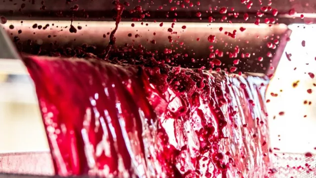 La Cámara Argentina de Vinos a Granel auna planes con San Juan