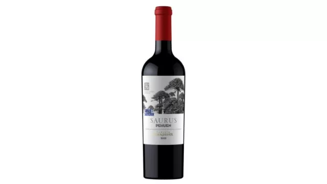 Bodega Familia Schroeder reforesta la Patagonia