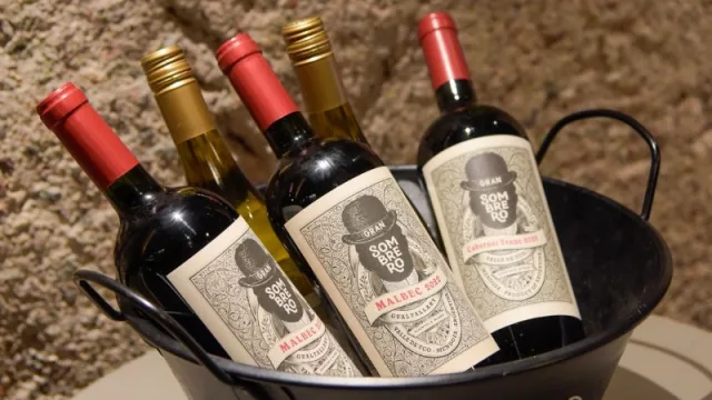 La vinificación más urbana del mundo se hace en la Ciudad de Mendoza