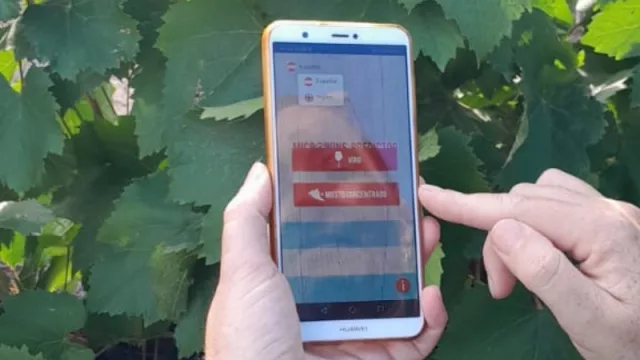 Microwine Predictor, la app argentina que corrige defectos del vino y el mosto