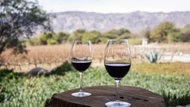 ¡Chin, chin! Chile celebra el Día del Malbec Argentino (y alienta el consumo de la bebida nacional)