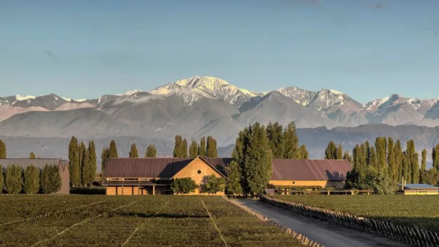 Las buenas, se cuentan: Susana Balbo reduce su Huella de Carbono