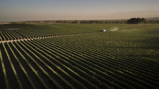 Agrinet, la empresa mendocina que se expande a Europa y África con malla antigranizo