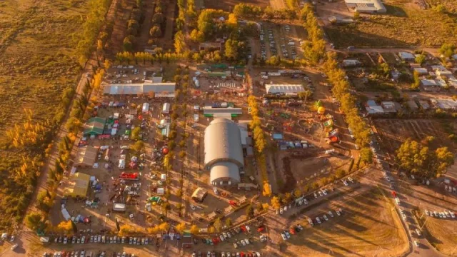 Con los ojos puestos en Alvear: comienza la 43° Fiesta Nacional de la Ganadería de las Tierras Áridas