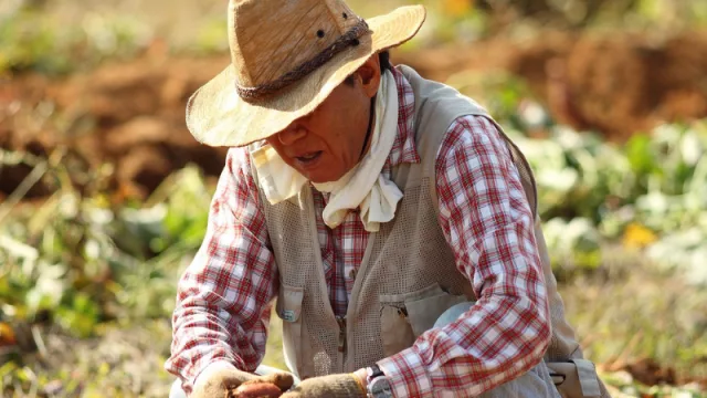 Irrigación se suma a la Emergencia Agropecuaria (un anuncio de beneficios para productores)