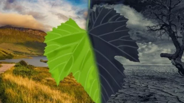 “Planeta versus plástico” (la Universidad de Congreso pone en valor el compromiso ambiental)